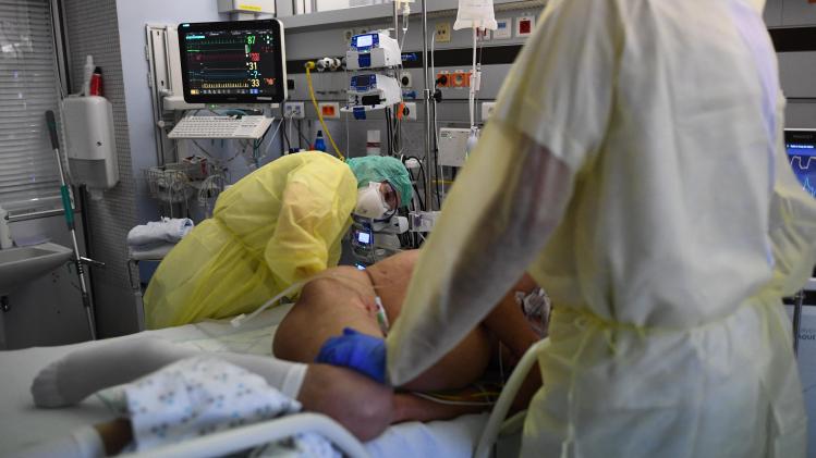 BELGAIMAGE-185754663