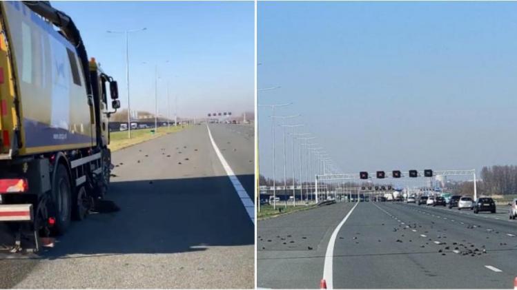 B9730173672Z.1_20220306084323_000+GQIK1KGN7.1-0