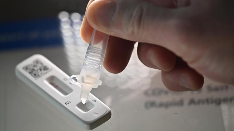 BELGAIMAGE-188039678 (2)