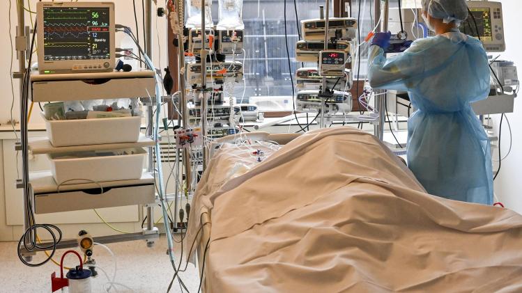 belgaimage-185263527-full (1)