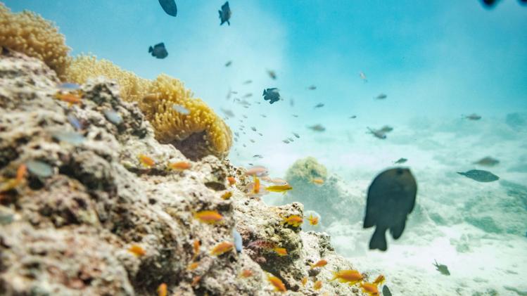 BELGAIMAGE-186534776