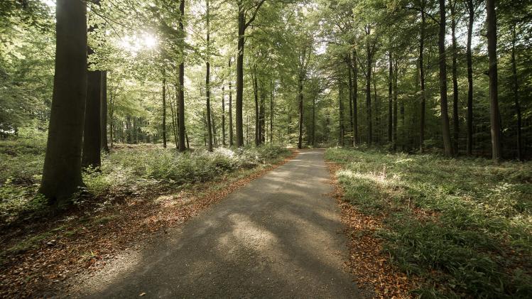 belgaimage-66053289-full