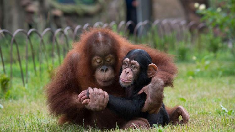 277108856_2481934951941934_5089792024378194233_n