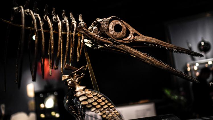 BELGAIMAGE-142386469