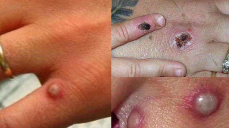 B9731011766Z.1_20220524101016_000+G2BKII1KM.1-0