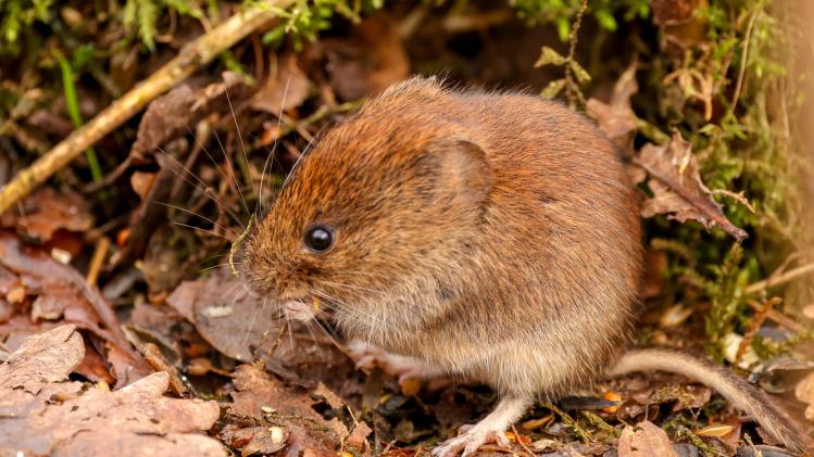 heather-wilde-_K-UFk-7aJc-unsplash