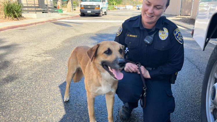 286161663_582595043227274_5334091372819875520_n