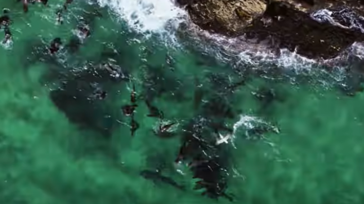 Capture d’écran 2022-07-08 133817