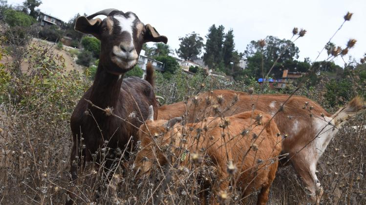 000_1_KO_673_ac7e120aea