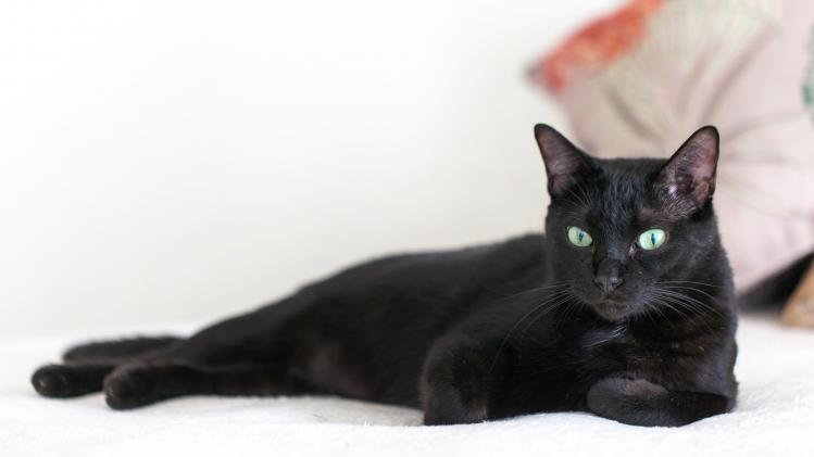 ricardo-avelar-KyGN7lB9_Ng-unsplash