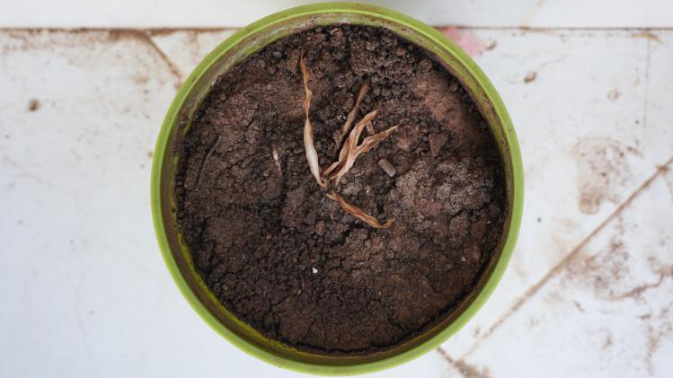 khalil-3j0zQe5EAyo-unsplash