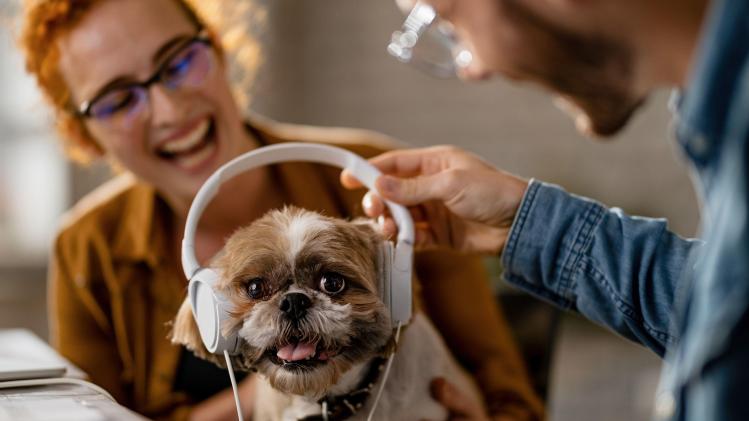 Getty_Images_1185448001_copie_a3e8b1336c