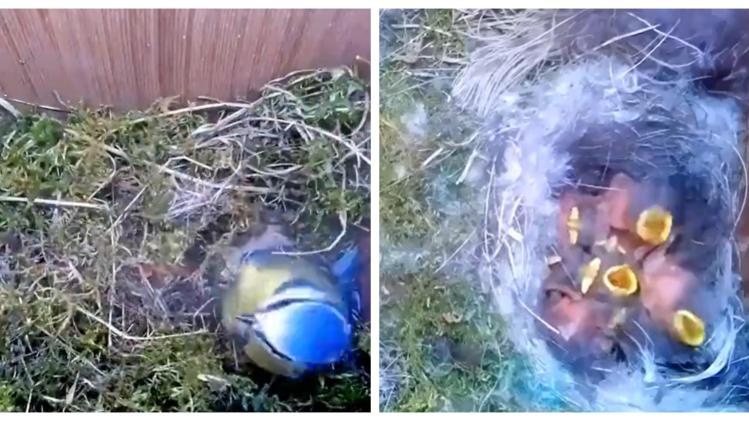 BeFunky-collage - 2022-10-09T152228.681