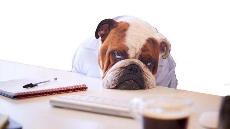 Getty_Images_962466980_copie_d06aee80ef (1) copy