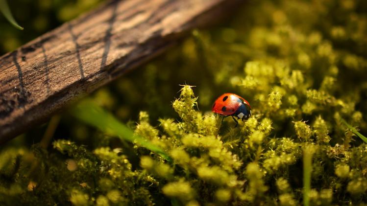 jill-heyer-U9x5mG0pBiQ-unsplash