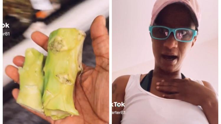 BeFunky-collage - 2022-12-13T124424.882