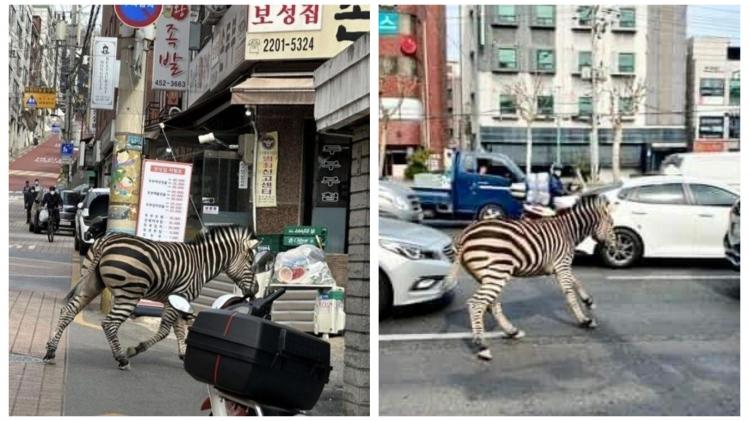 BeFunky-collage - 2023-03-24T113124.616