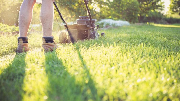 Voici pourquoi vous ne devez pas tondre votre pelouse avant juin
