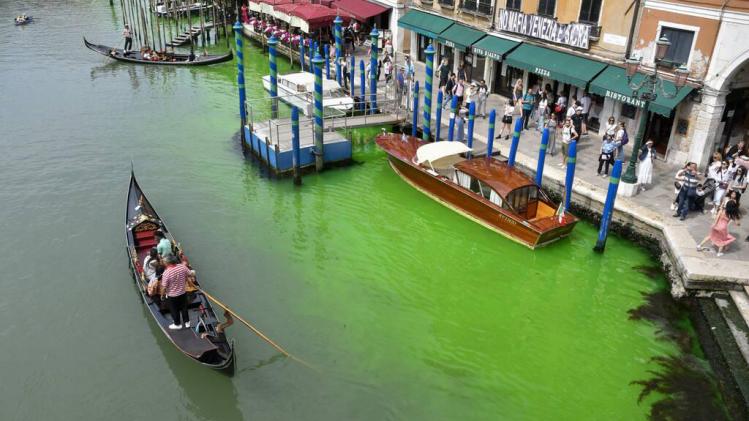 Le Canal de Venise vire au vert fluo (vidéo)
