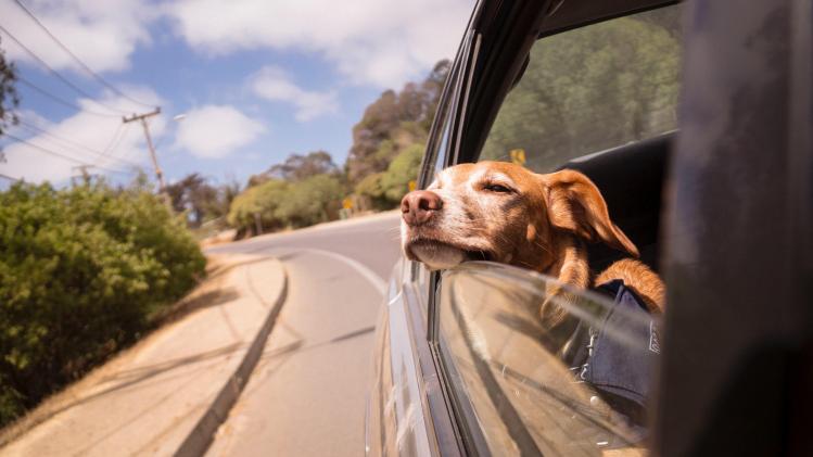 ignacio-amenabar-2dkgXTfPfTg-unsplash