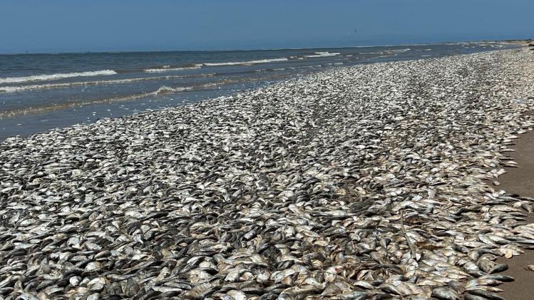 352811808_734801358649089_5465815082640032571_n-1