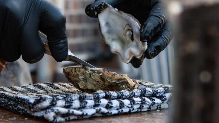 thomas-john-7q6pW_OJFx8-unsplash