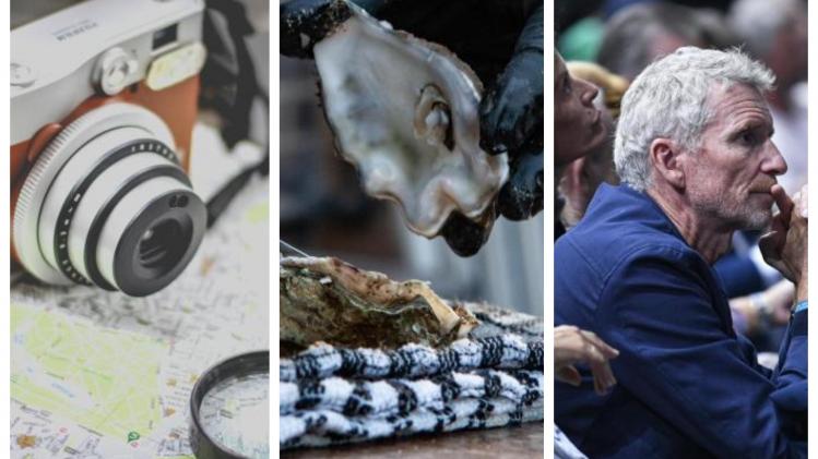 BeFunky-collage - 2023-06-14T174120.822