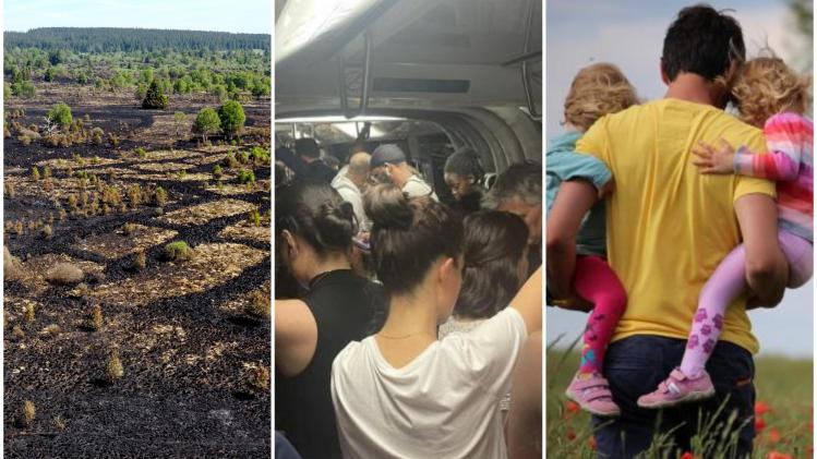 collage en bref 15 juin