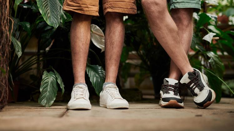 pexels-fauxels-3228855