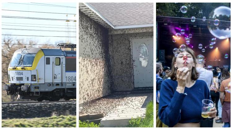 BeFunky-collage (20)