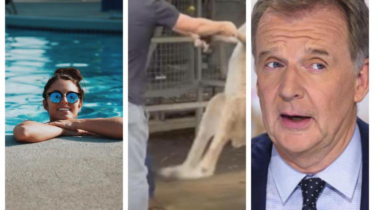 BeFunky-collage - 2023-06-16T173140.936