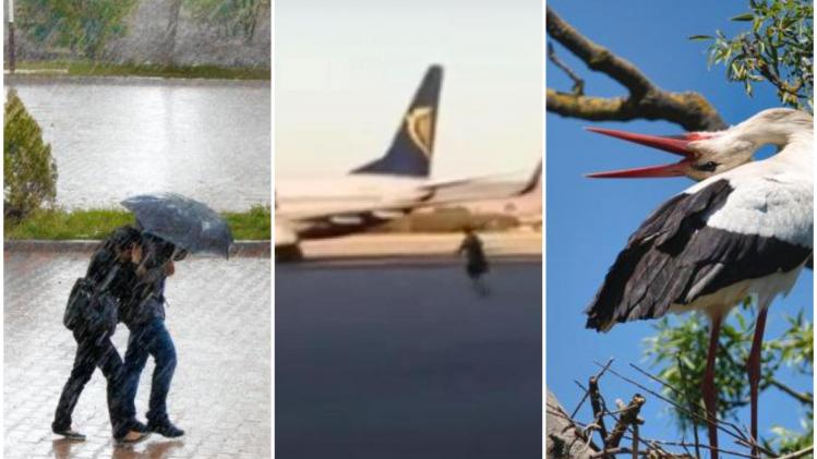 collage en bref 20 juin