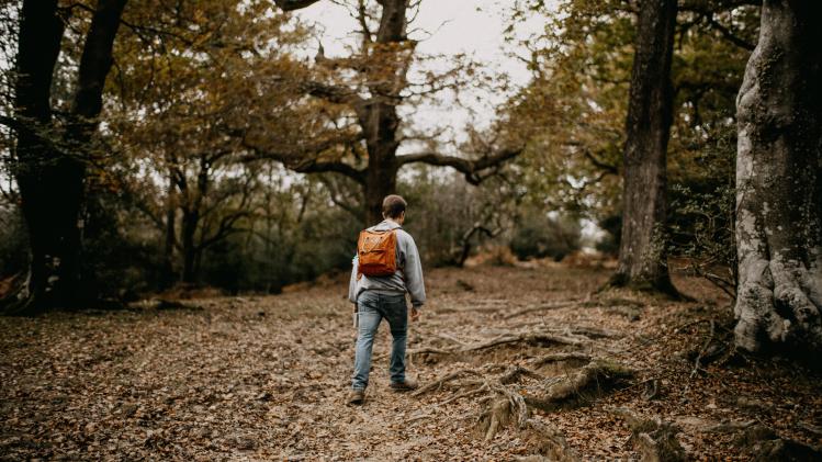 annie-spratt-2nANQD2wb-k-unsplash