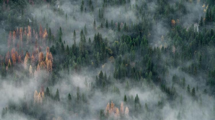 john-towner-89PFnHKg8HE-unsplash