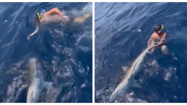 BeFunky-collage (15)