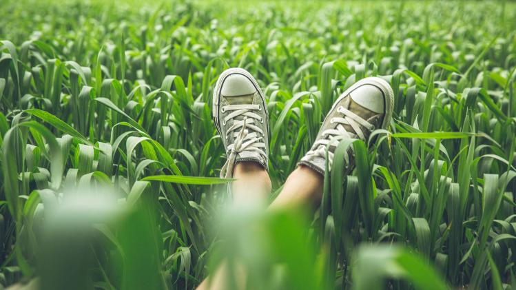 GENERIC_Sneakers_basket_chaussures_verts_ecologie_nature_b4ebb54d08 (2)