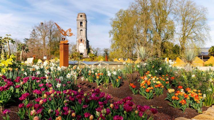 Large-0C5A0881-CR3_DxO_DeepPRIMEXD