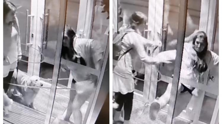 BeFunky-collage - 2023-07-07T183112.429