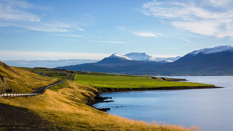 josh-reid-meOFNlRbHmY-unsplash