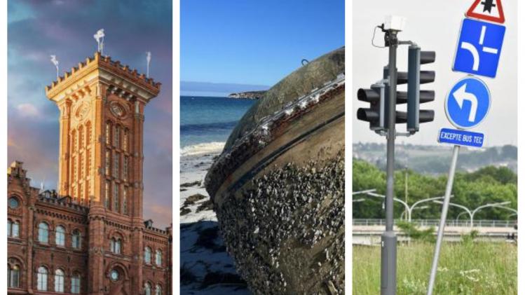 BeFunky-collage - 2023-07-18T174227.298