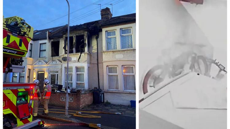 BeFunky-collage - 2023-07-19T183724.753