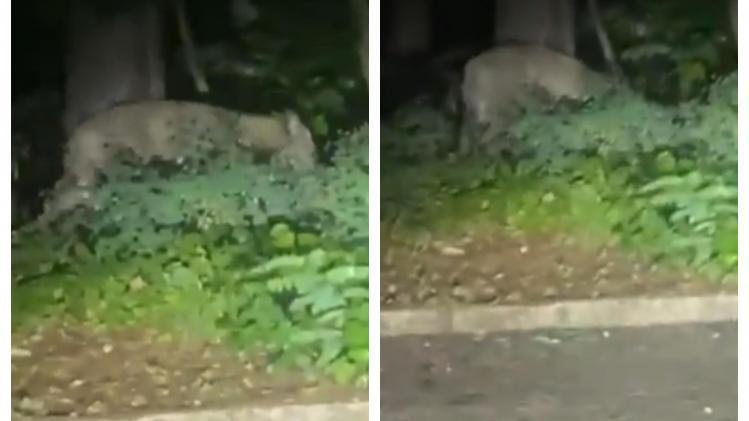 B9734765911Z.1_20230720105621_000+GG2N5QGU8.1-0