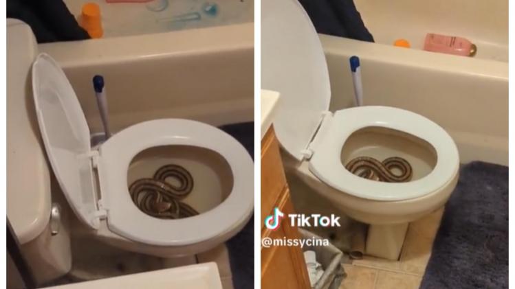 BeFunky-collage - 2023-07-24T143435.765