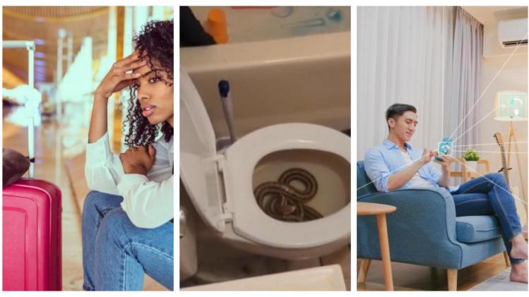 BeFunky-collage - 2023-07-24T161631.306