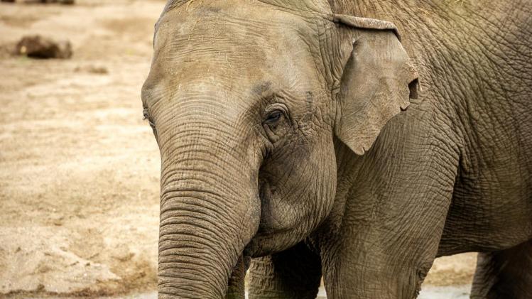 363039138_667148825447824_2513704682072659194_n