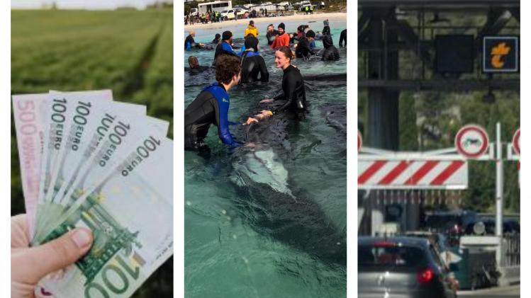 Collage en bref 27 juillet