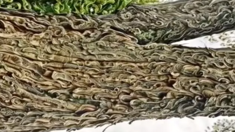 Capture hallucination