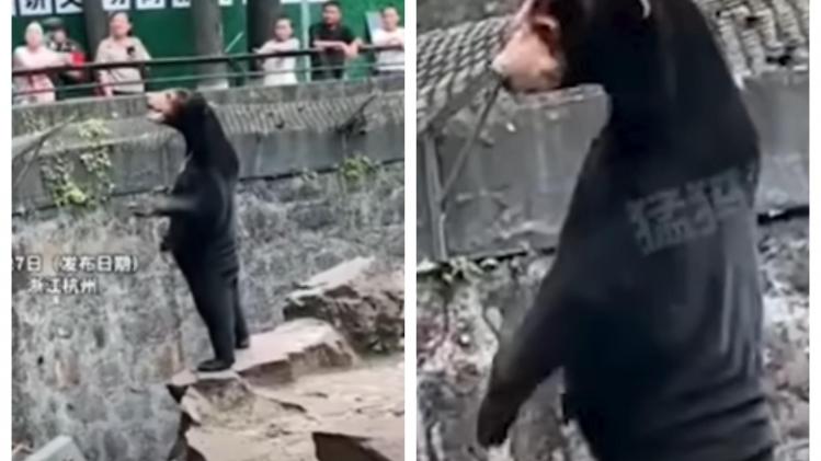 BeFunky-collage - 2023-08-01T145644.134