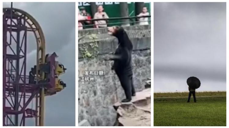 BeFunky-collage en bref 1er août