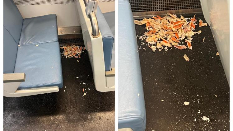 BeFunky-collage - 2023-08-02T103331.649